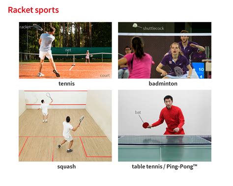 dictionary definition of sport